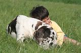 ENFANT ET CHIEN 537
